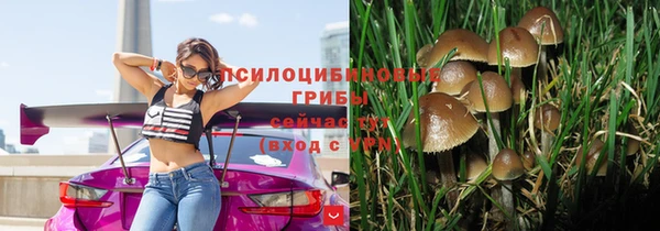 MDMA Белокуриха