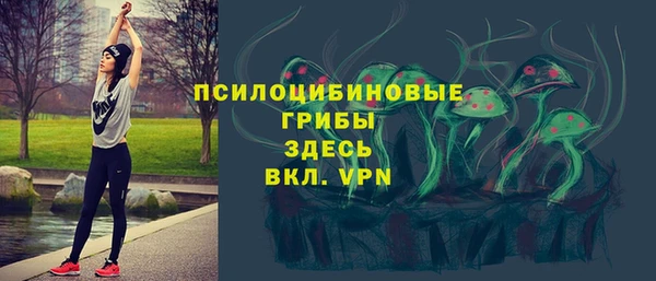 MDMA Белокуриха